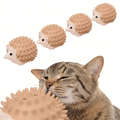 3 PCS Catnip Toys Self-Grooming Cat Brush with Catnip Ball & Gall Fruit