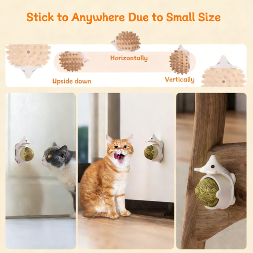 3 PCS Catnip Toys Self-Grooming Cat Brush with Catnip Ball & Gall Fruit