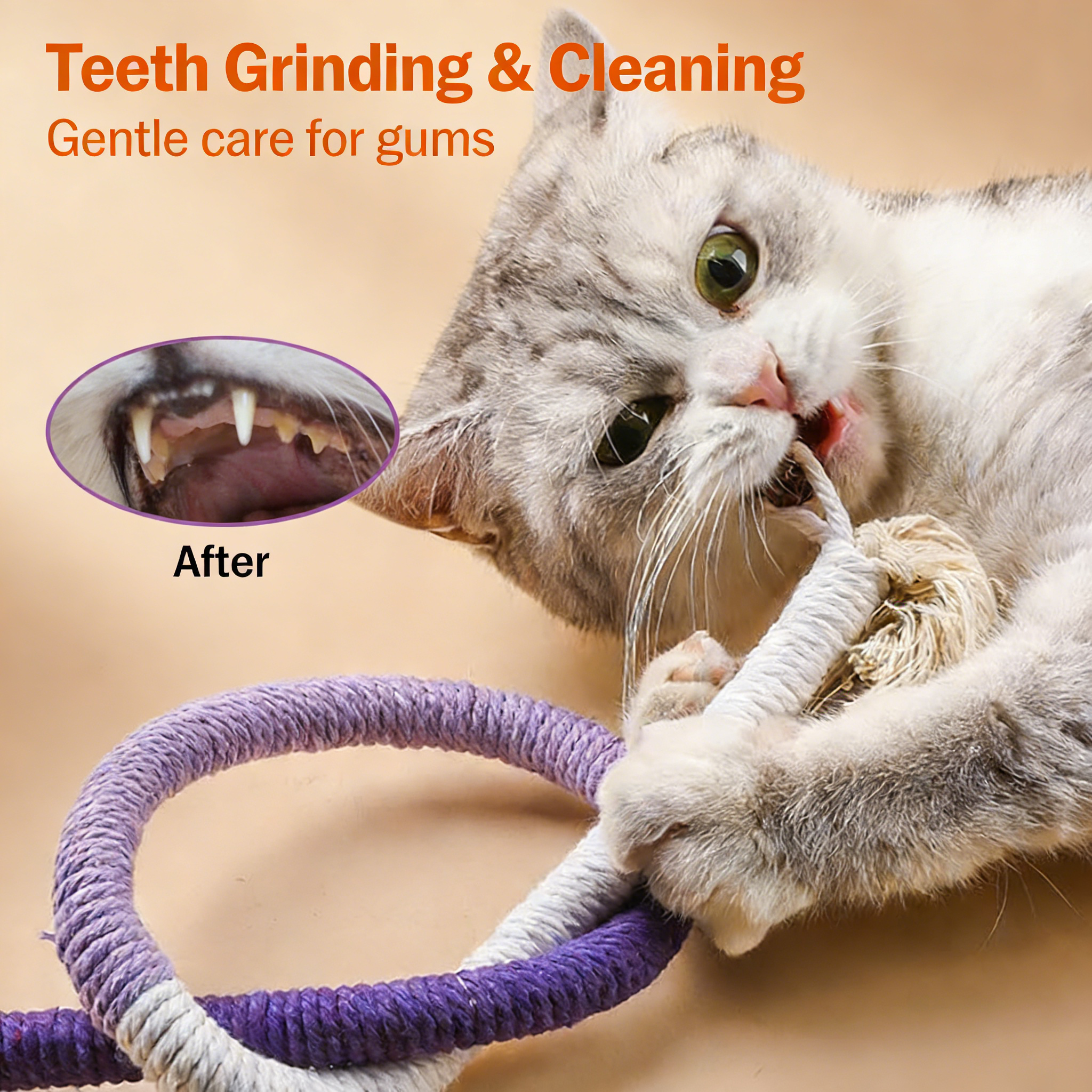 Cat Chew Rope Toy for Indoor Cats, 23.6 Inch Color Block Cotton Rope with Catnip, Safe Teething Toy for Boredom Relief and Dental Health