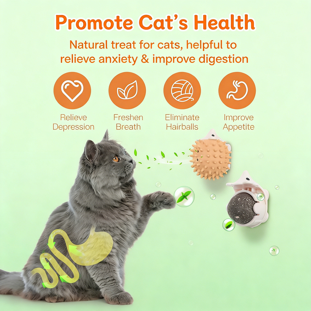 3 PCS Catnip Toys Self-Grooming Cat Brush with Catnip Ball & Gall Fruit